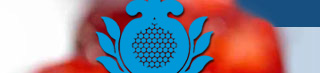 Home page