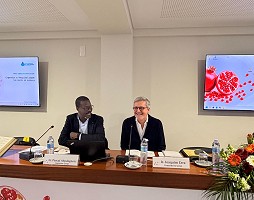 Vai alla pagina: The Portuguese Province begins its 31st Chapter in Fátima